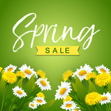 Fototapeta  - Spring sale. Vector illustration with  dandelions and chamomiles