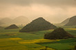 Misty morning in Yunnan's famous rapeseed fields