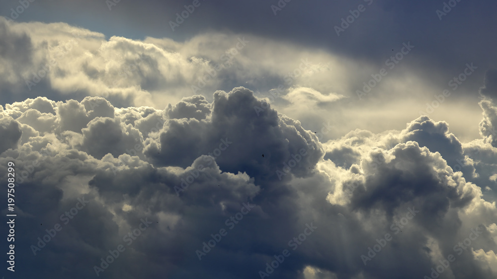 Above the clouds - obrazy, fototapety, plakaty 