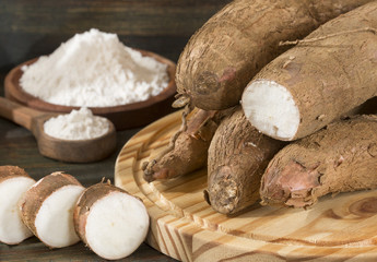 Poster - cassava starch - manihot esculenta