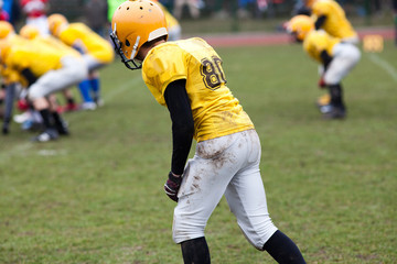 Wall Mural - american football game - players in action