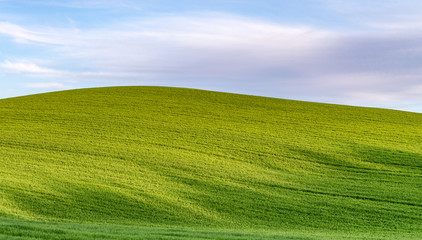 Sticker - Hills of Tuscany, spring season