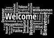 © MARTINFFFF - Welcome in different languages wordcloud on white background
