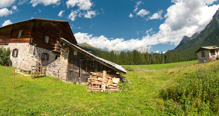 Wall Mural - Meadows of Val Visdende, Italy