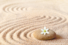 Stones And White Flower On The Sand With Circles