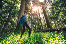  Woman Hiking Through Forest