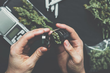 A man uses a grinder to grind marijuana weed against a backgroun buds cannabis vintage color