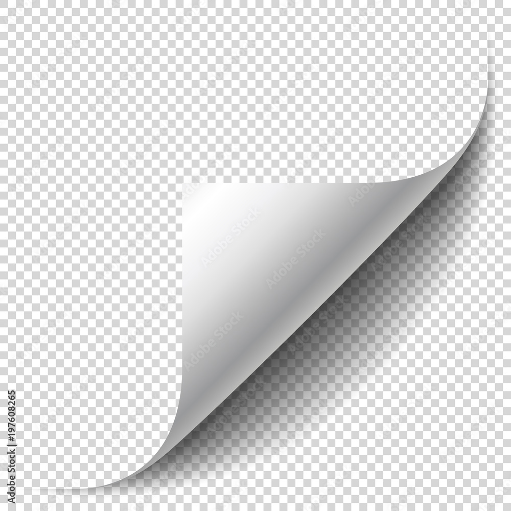 Blank page with curled corner and soft shadow. Corner of sheet of paper. Realistic vector illustration isolated on transparent background, eps 10. - obrazy, fototapety, plakaty 