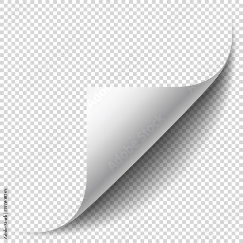 Fotografía Blank page with curled corner and soft shadow