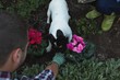 © Wavebreak Media - Couple planting a plant in the garden