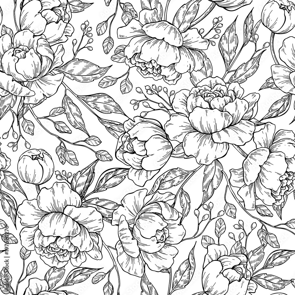 Peony flower seamless pattern drawing. Vector hand drawn engrave Stock ...
