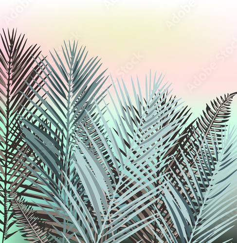ilustracja-wektorowych-lisci-palmowych