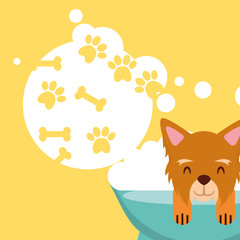 Canvas Print - dog in bath grooming bubbles paw bone love pet domestic vector illustration