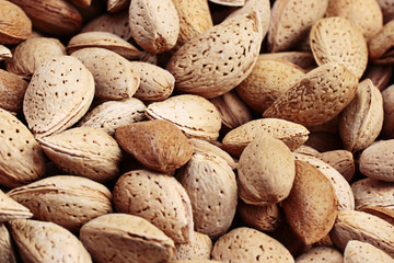 Nuts almonds. Food background