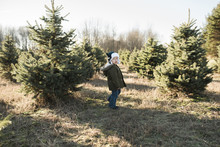 Full Length Of Boy Standing Against Christmas Trees At Farm