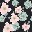 Seamless design pattern arranged from pink anemone, echeveria succulen. Beautiful floral print. Black backdrop. Floral texture for design, textile and background.