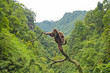 Savage Monkey on tree, Wildlife, Mount Emei, China 1