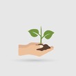 © credon2012 - Hands and plant icon