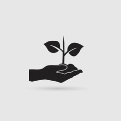 Wall Mural - Plant in hand. Vector icon.