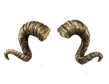 Ram Horns. Watercolor Illustration.