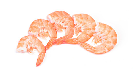 Sticker - Shrimp on a white background