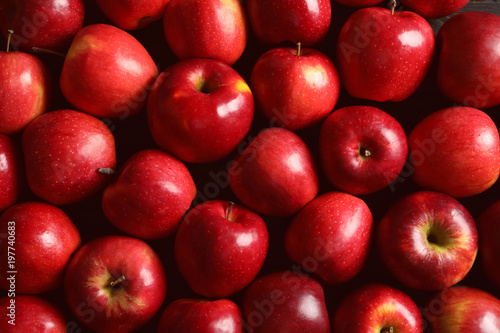 Obraz jabłka  swieze-dojrzale-czerwone-jablka-jako-tlo