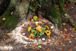Pagan altar and spiral works outside next to a tree.