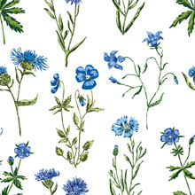 Pattern Of The Blue Wildflowers