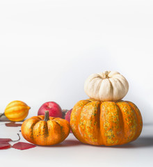 Wall Mural - Pumpkins with autumn leaves on white background, front view, copy space for text