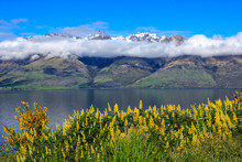 A Beautiful Mountain Setting In New Zealand With Yellow Wildflowers In The Foreground And Clouds Hovering Around The Tops Of The Mountain.