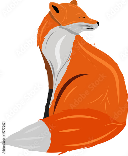 Valokuva  Drawing a fox line, logo