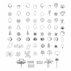 Top view and side view, set of graphics trees elements outline symbol for architecture and landscape design drawing. Vector illustration