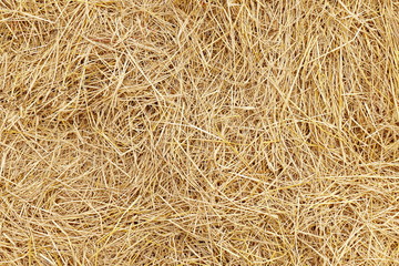 straw, dry straw, hay straw yellow background texture