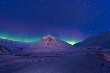 Wall Mural - the polar arctic northern lights aurora borealis sky star in norway svalbard in longyearbyen city ma