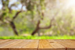 Empty rustic table in front of green spring abstract bokeh background. product display and picnic concept.