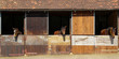 © leomalsam - Three horses look out of the stables