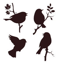 Decorative Set Of Birds Sitting On Twig Of Tree. Vector Silhouette