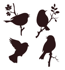 Wall Mural - Decorative set of birds sitting on twig of tree. Vector silhouette