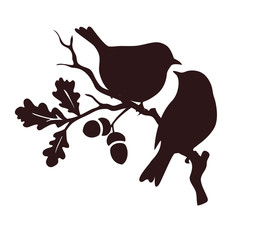 Wall Mural - Pare of birds sitting on twig of oak. Decorative vector silhouette. 