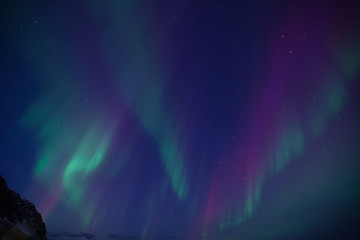 Wall Mural - aurora boreale in islanda