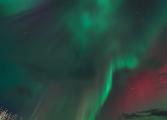 Wall Mural - aurora boreale in islanda
