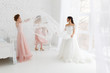 © oksana_bondar - Cute girls celebrating a bride's bachelorette party and playing with veil in bedroom