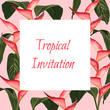 Exotic tropical jungle rainforest bright green palm tree and heliconia flowers border frame on pink background. Good for wedding invitation, greeting card.