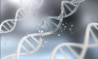 Wall Mural - dna helix