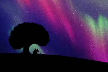 Sticker - lovers under tree at night. vector illustration with silhouette of loving couple. northern lights in