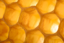 Honeycomb Macro As A Background. Beekeeping Products. Apitherapy.