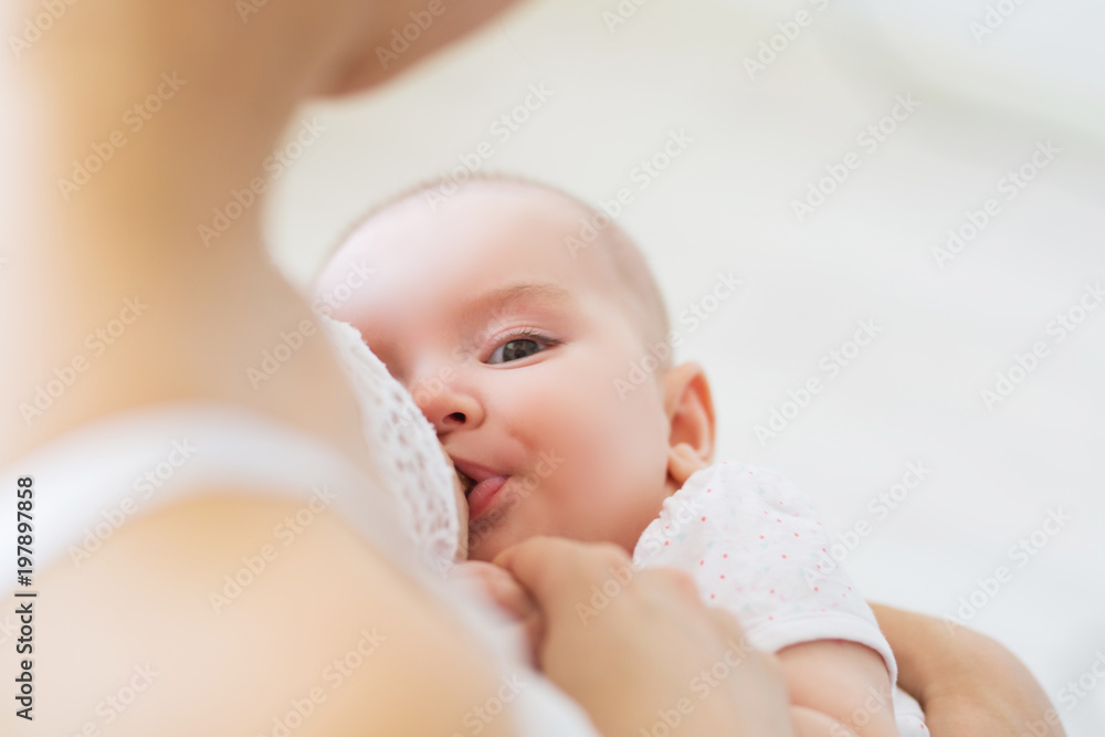 Young mom breast feeding her newborn child. Lactation infant concept. Mother feed her baby son or daughter with breast milk - obrazy, fototapety, plakaty 
