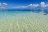 Fototapeta Na ścianę - Transparent ocean water on the beach of Philippines
