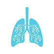 Lungs vector. Flat design.