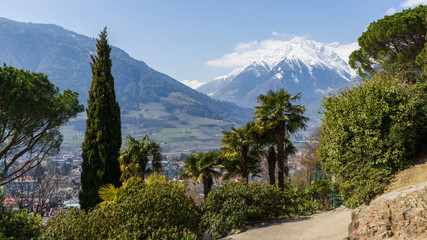 Sticker - Beautiful Easter-Hike with palm trees and snow-covered mountains in Merano, Italy